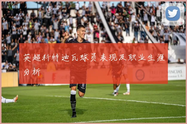 英超科特迪瓦球员表现及职业生涯分析