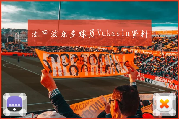 法甲波尔多球员Vukasin资料