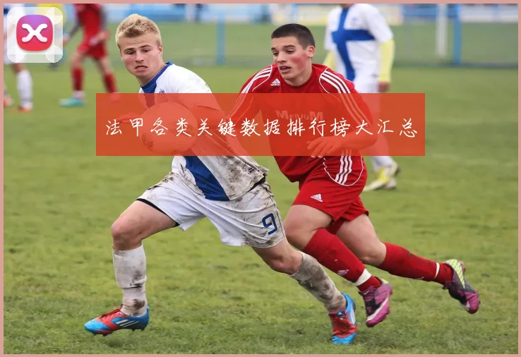 法甲各类关键数据排行榜大汇总