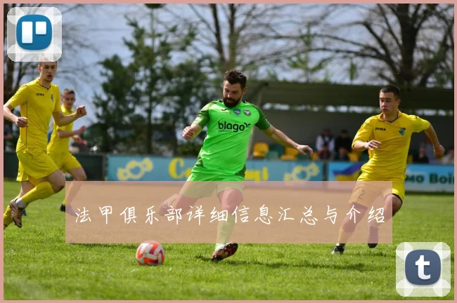 法甲俱乐部详细信息汇总与介绍