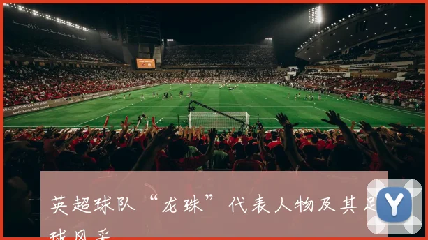 英超球队“龙珠”代表人物及其足球风采